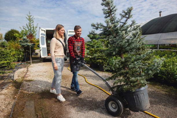 Best Local Tree Services  in Tullahoma, TN